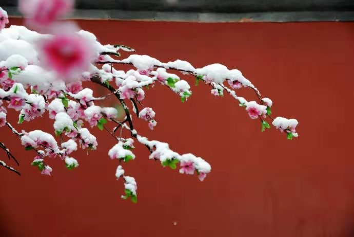 ��ҳ- �������ǲ��й��������