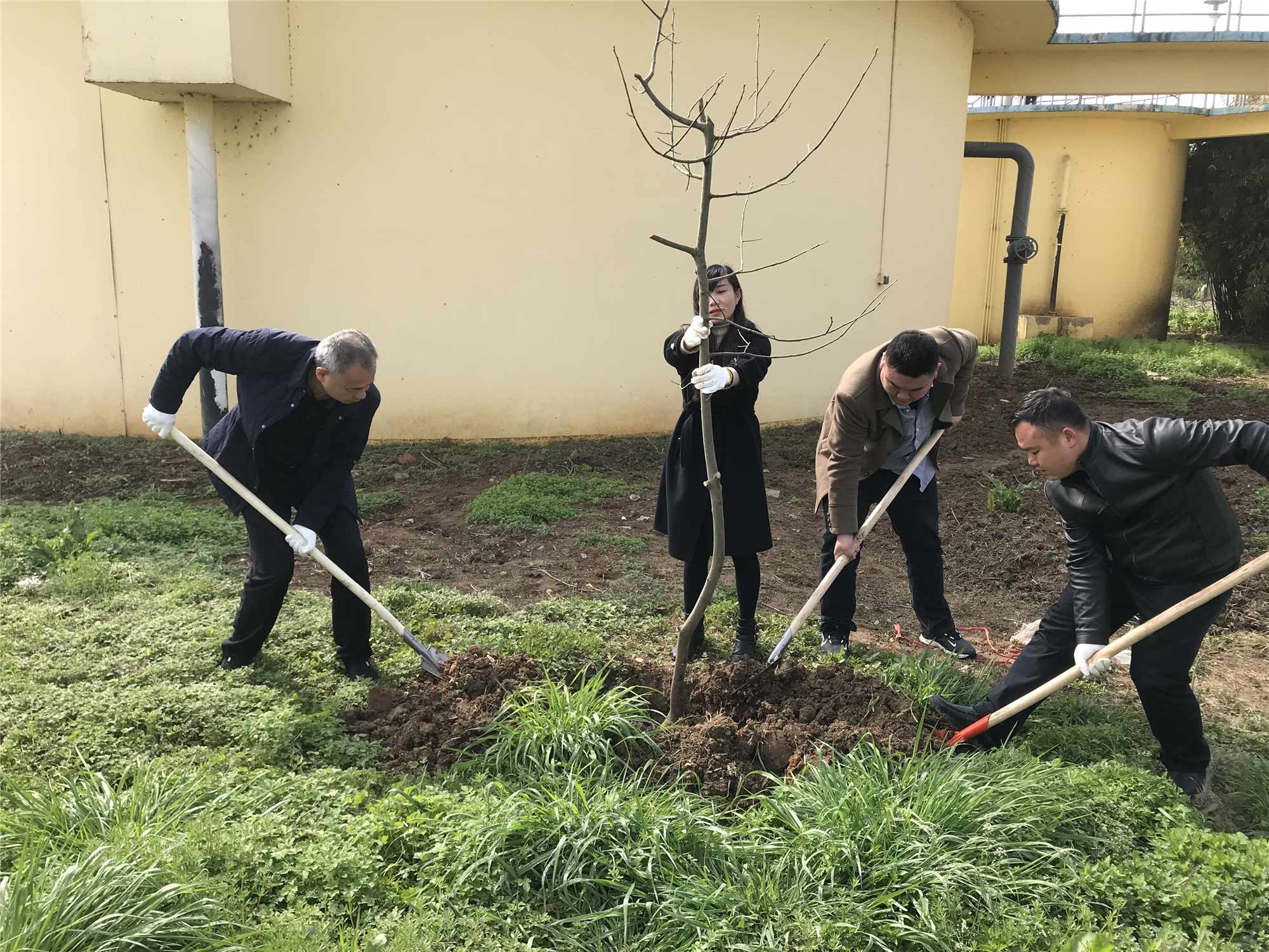 ��ҳ- �������ǲ��й��������