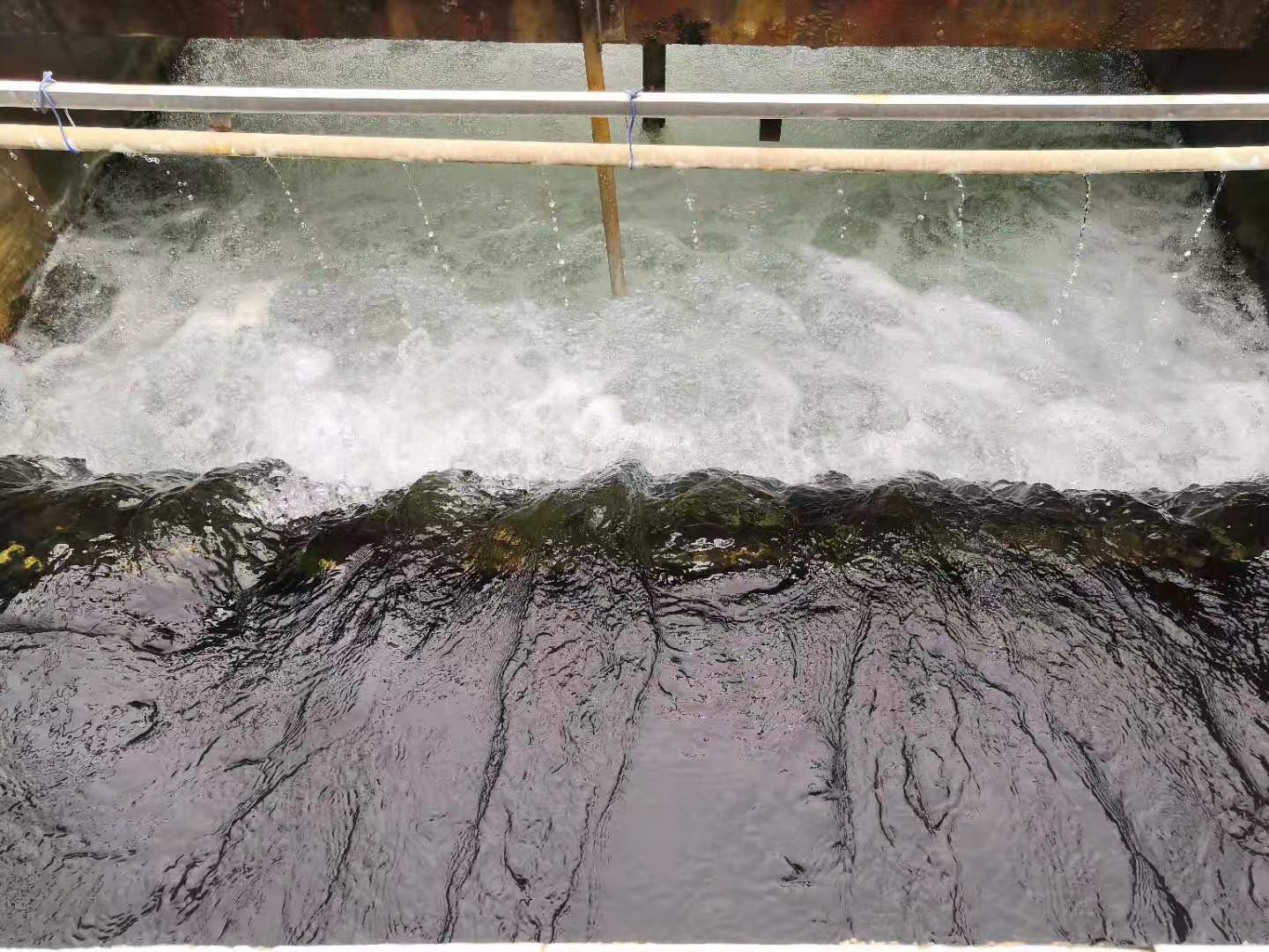 ��ҳ- �������ǲ��й��������