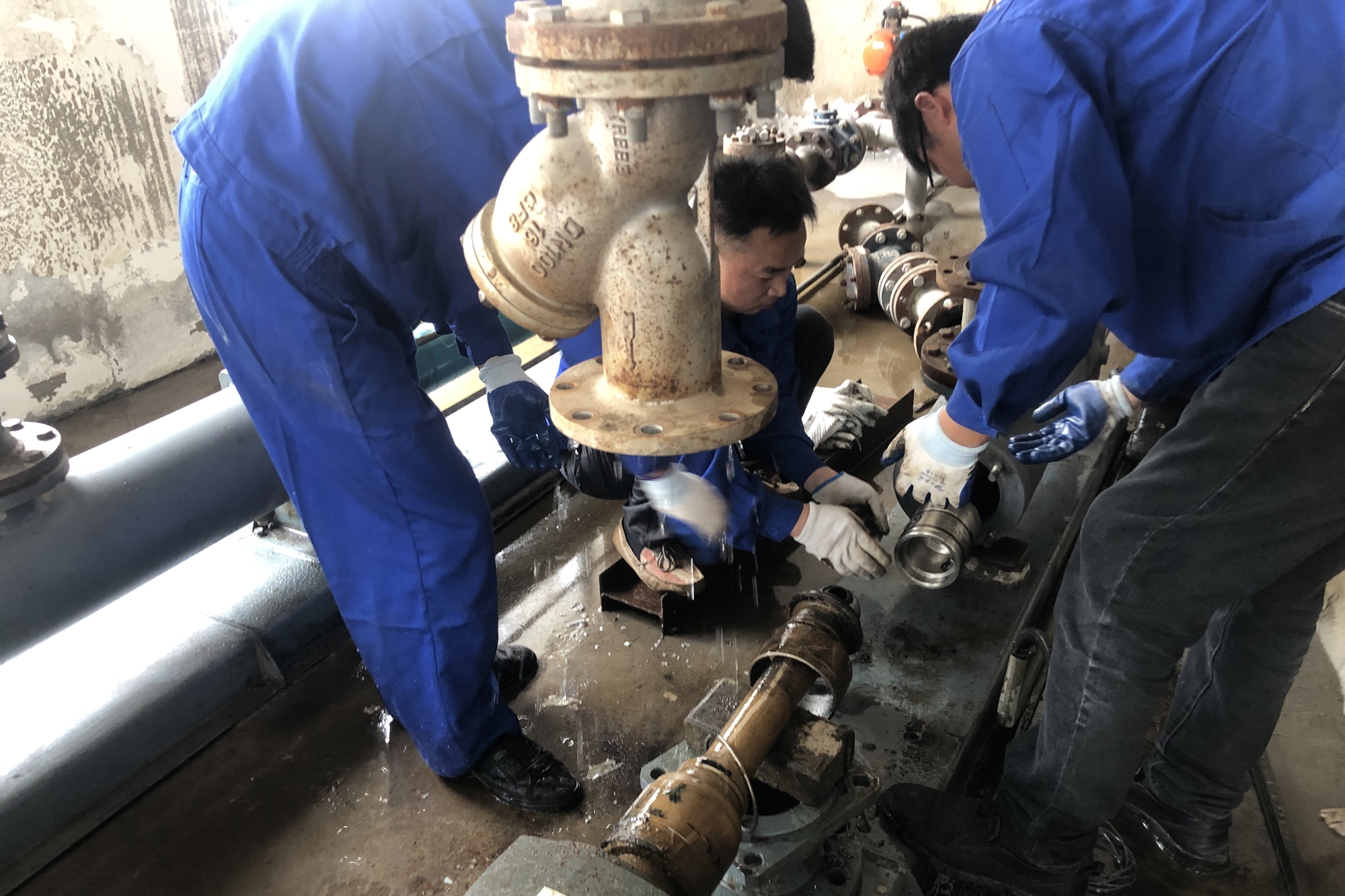 ��ҳ- �������ǲ��й��������