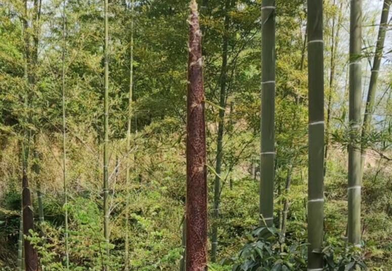 ��ҳ- �������ǲ��й��������