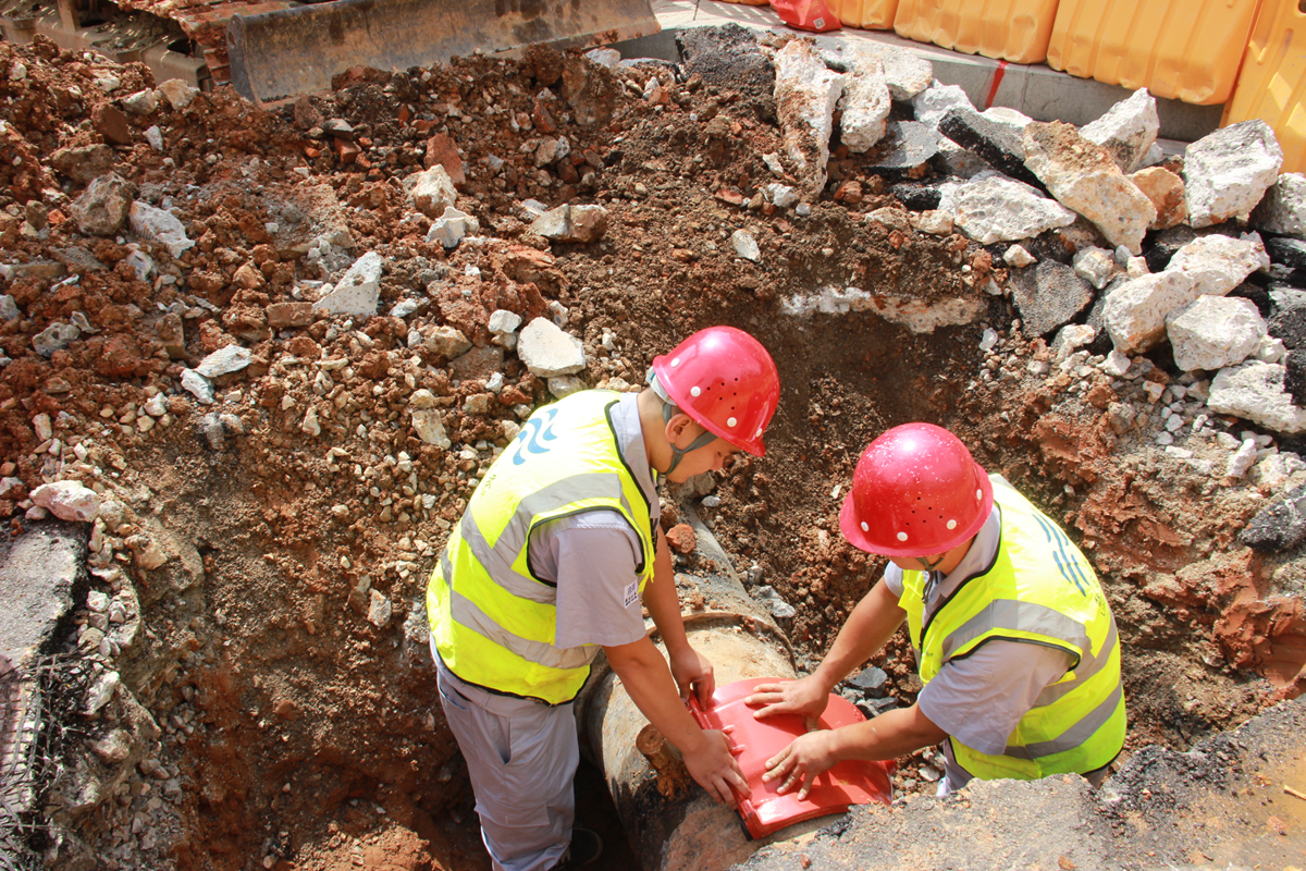 ��ҳ- �������ǲ��й��������