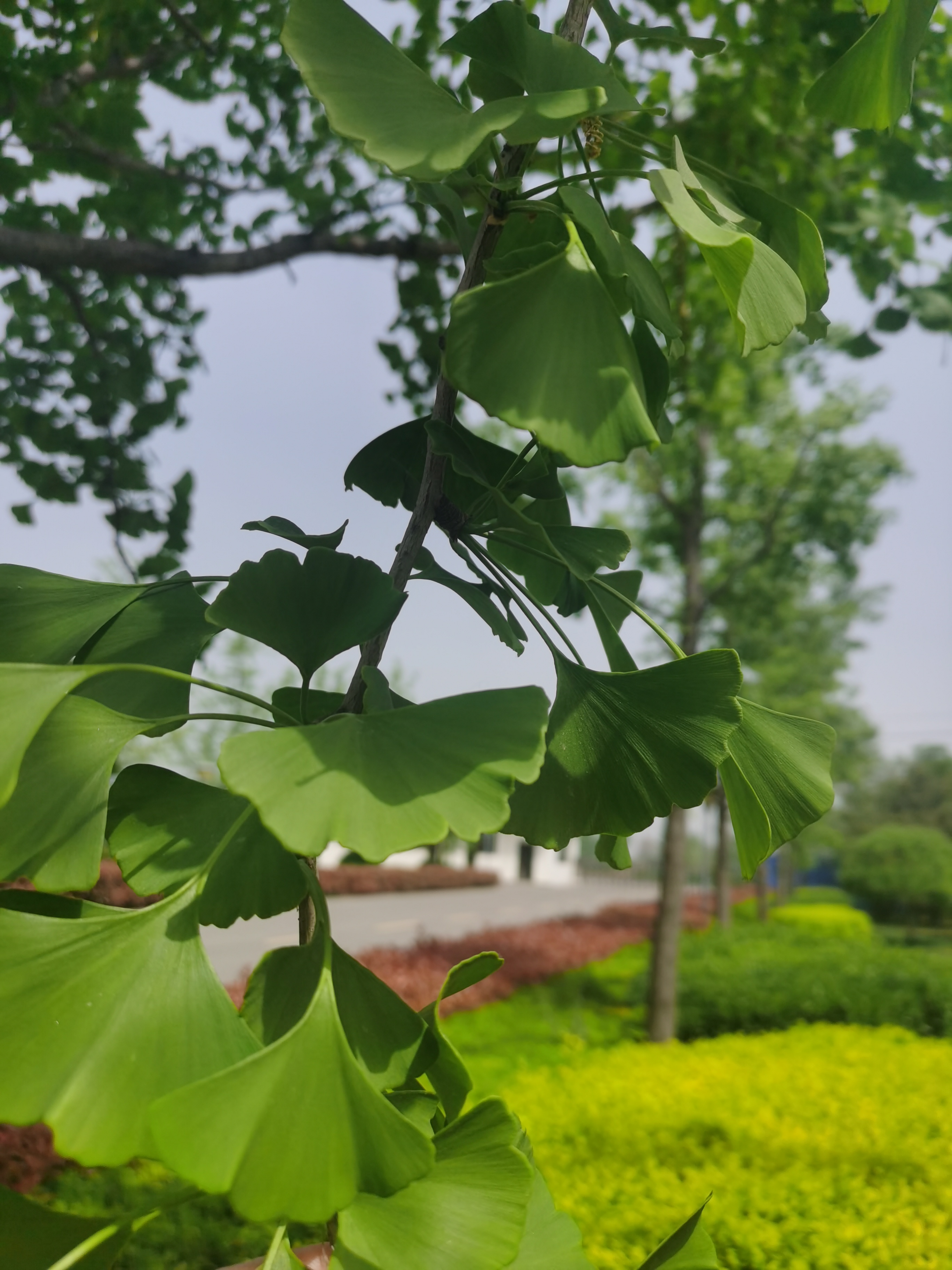 ��ҳ- �������ǲ��й��������