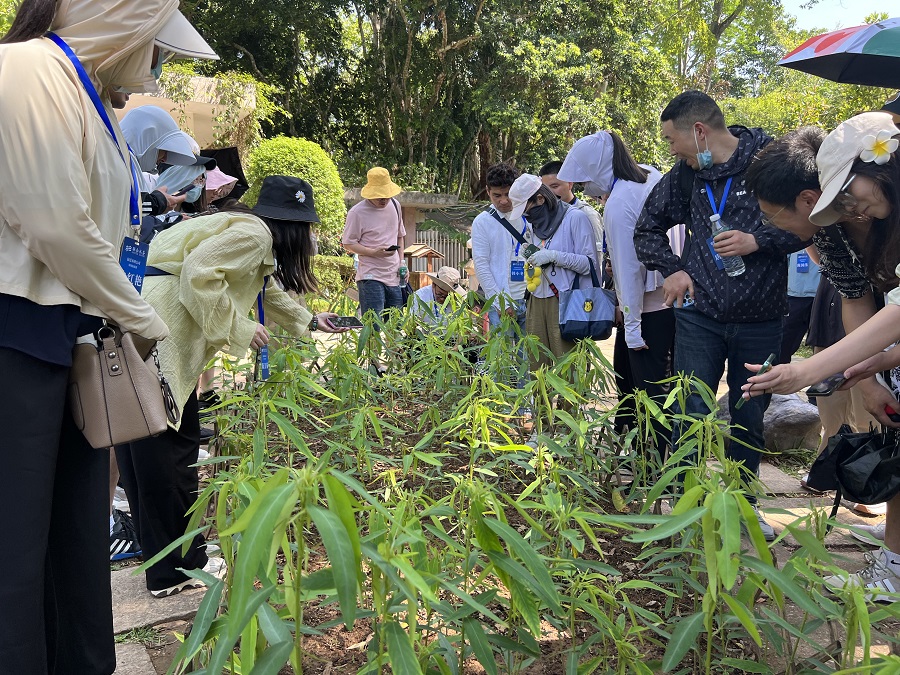 ��ҳ- �������ǲ��й��������