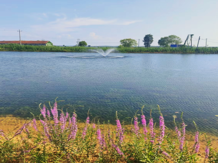 ��ҳ- �������ǲ��й��������