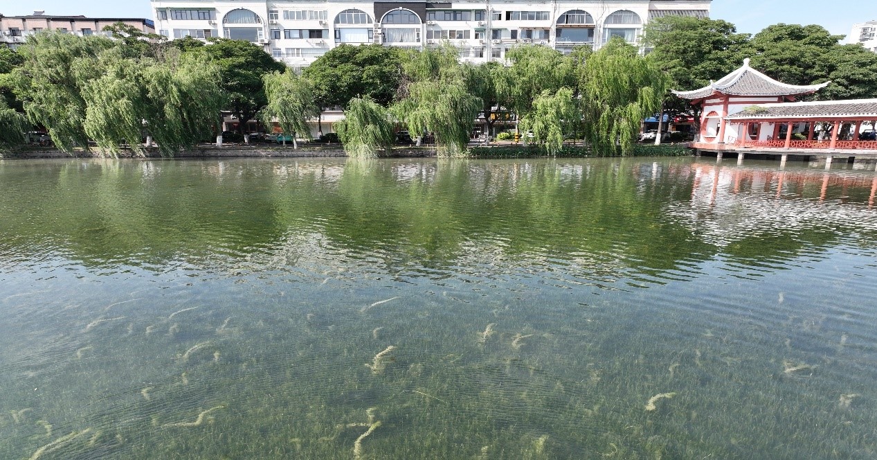 ��ҳ- �������ǲ��й��������