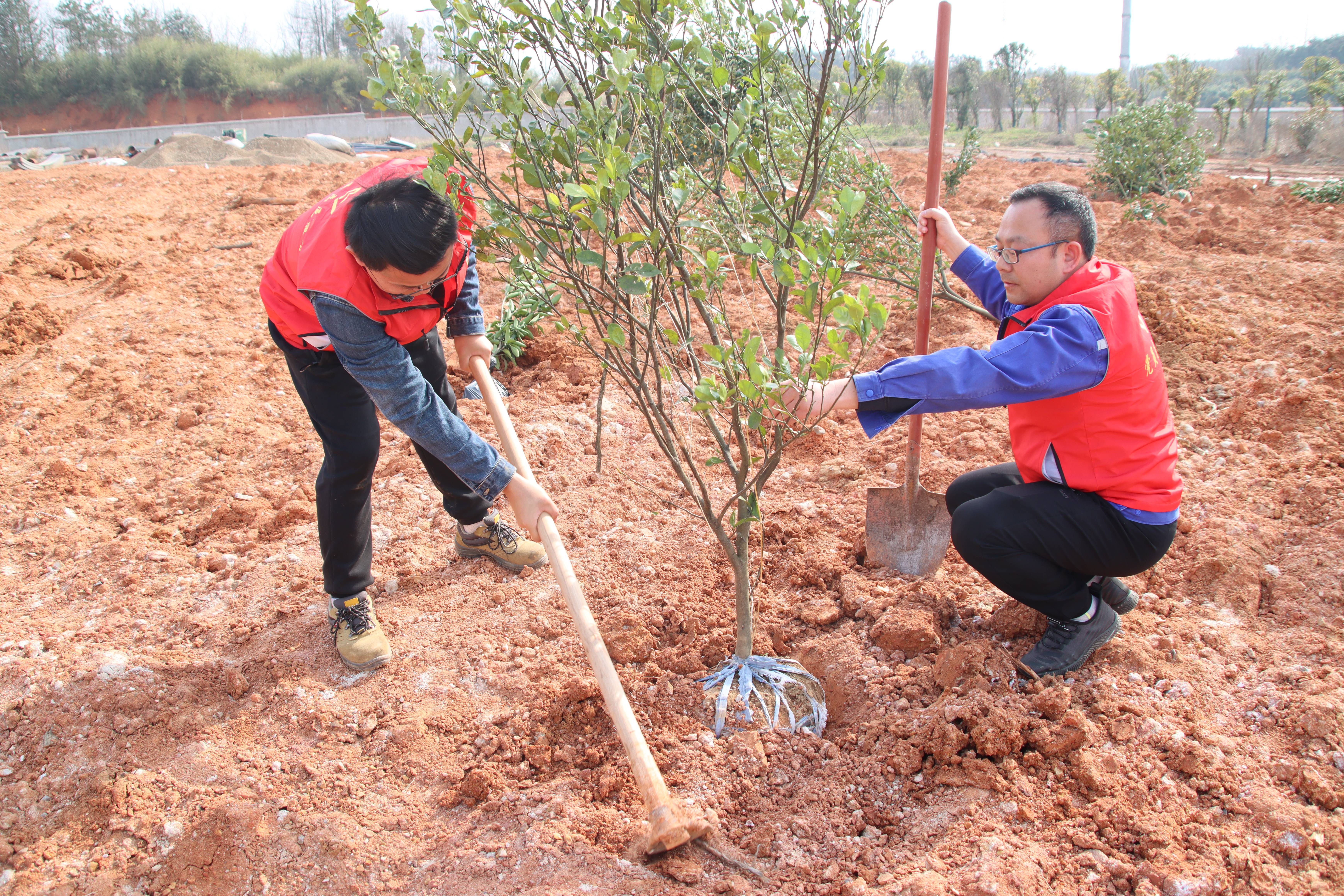 ��ҳ- �������ǲ��й��������