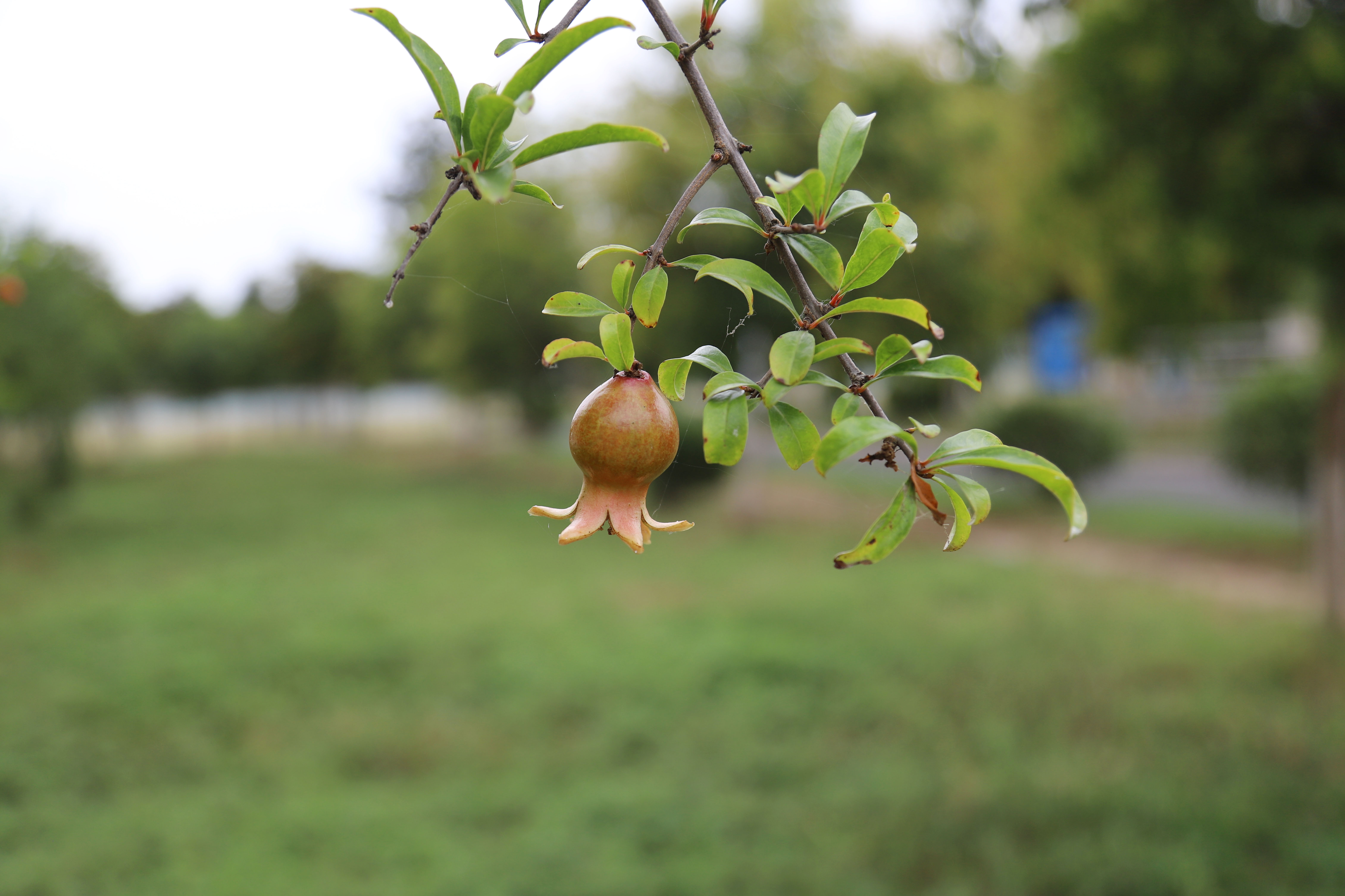 ��ҳ- �������ǲ��й��������