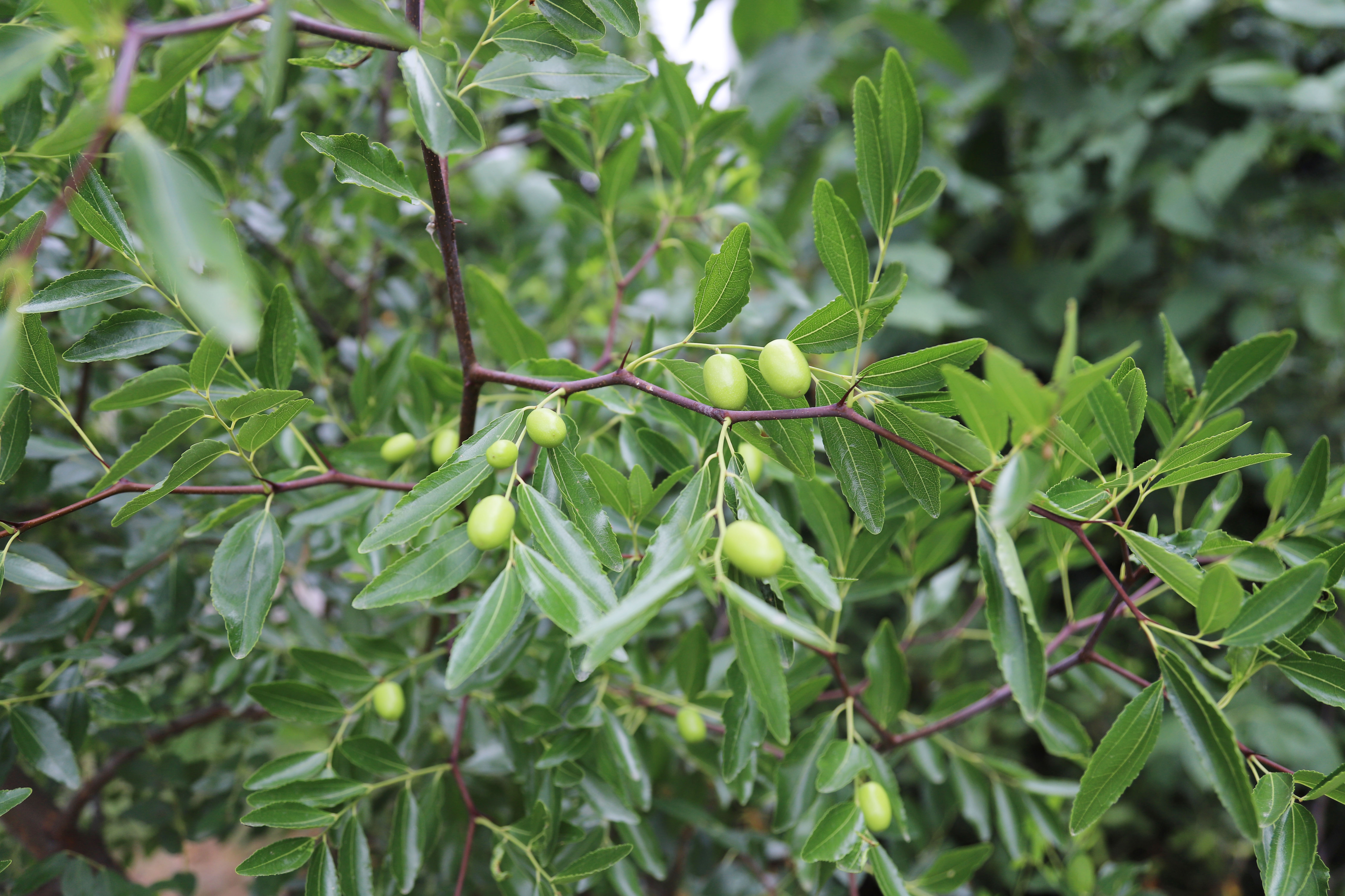 ��ҳ- �������ǲ��й��������