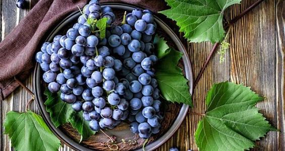 ��ҳ- �������ǲ��й��������