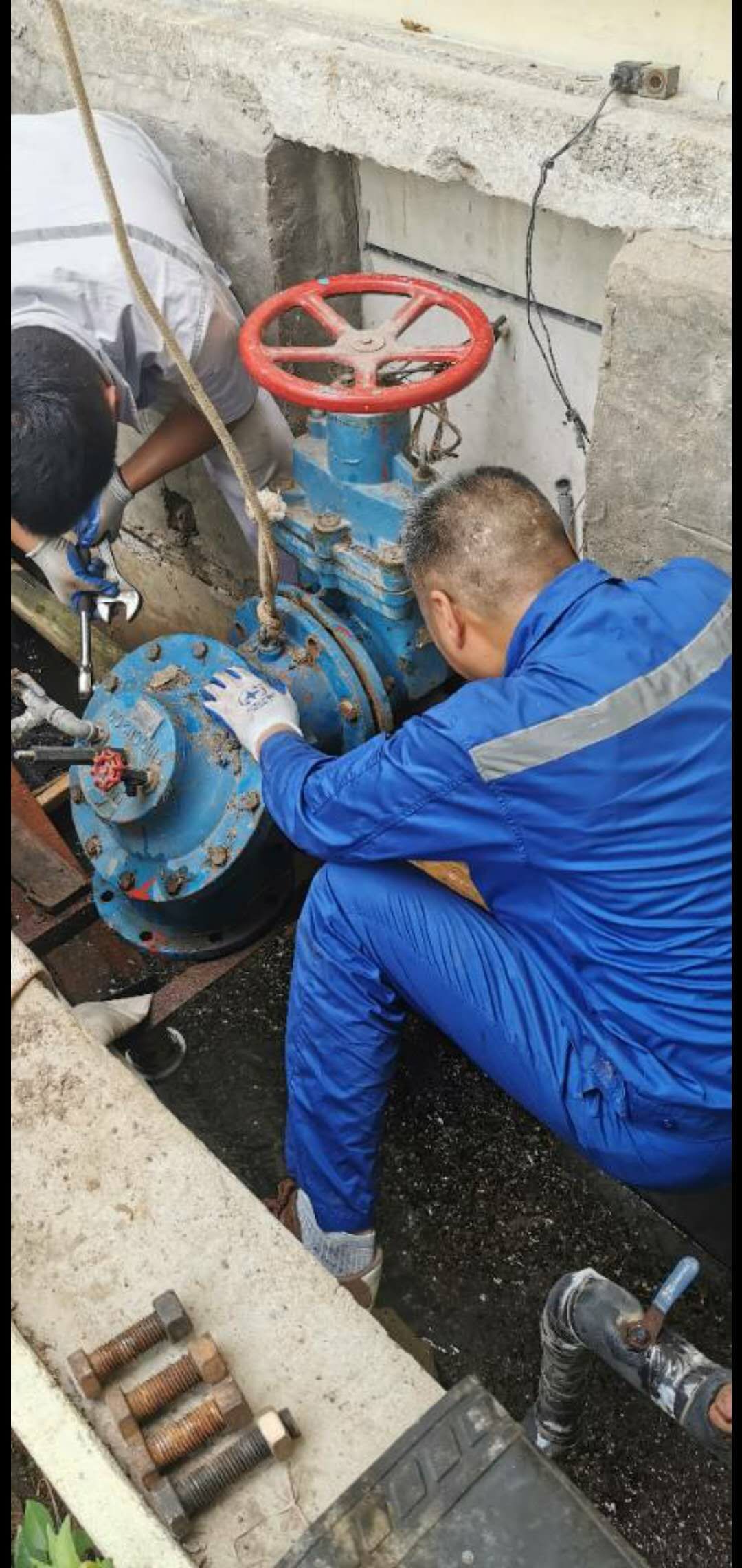 ��ҳ- �������ǲ��й��������